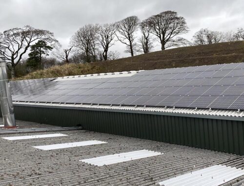 Ran Out of Roof Space? Solar Can Hit the Ground Running