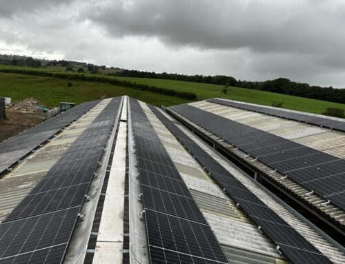 Debunking Common Myths About Commercial Solar Panels